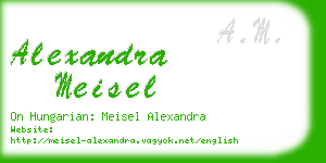 alexandra meisel business card